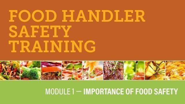 'Module 1 — Importance of Food Safety'