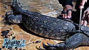 'INDONESIAN FOOD MONITOR LIZARD / BIAWAK RASA KOMODO RENDANG PONTIANAK EXTREME FOOD INDONESIA 2#'