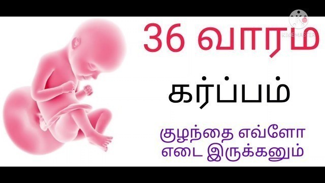 '36-th week baby growth pregnancy in tamil/36 week baby development in tamil'