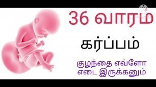 '36-th week baby growth pregnancy in tamil/36 week baby development in tamil'