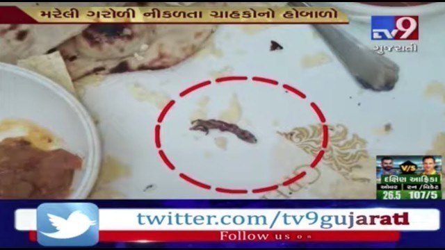 'Dead lizard found in food at Green Leaf Club, Rajkot | Tv9News'