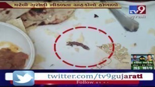 'Dead lizard found in food at Green Leaf Club, Rajkot | Tv9News'