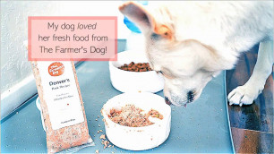 'The Farmer\'s Dog Unboxing & Review: What\'s it like to order fresh dog food? | Fin vs Fin'