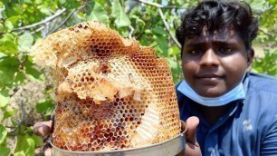 'Honey Hunting 2|மலை தேன் வேட்டை|Honey Hunting At Forest|Village Food Safari|VFS'