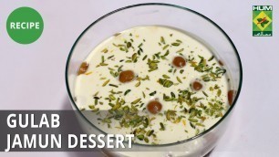 'Gulab Jamun Dessert Recipe | Food Diaries |  Zarnak Sidhwa | Dessert'