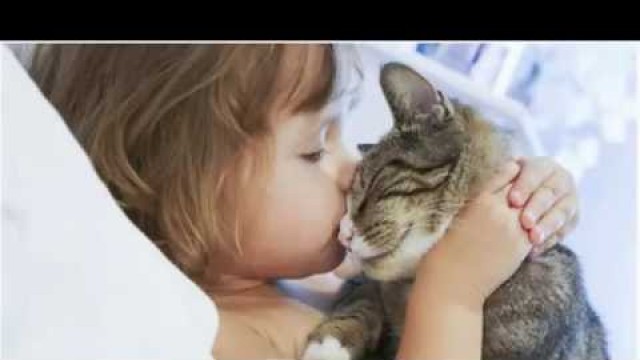 'The 10 Incredible Ways Your Cat Shows You Love ( Cat Lovers must watch this Video)'