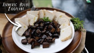 'Turmeric Adobo Eggplant  | Sabrina\'s Kitchen | Healthy easy food'