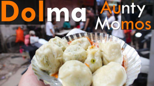 'Best Momos in delhi | Dolma Aunty Momos | Indian Street Food | Food Safari'