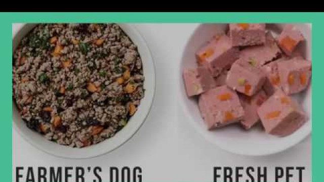 'Freshpet Dog Food Review: Are There Better Options?'