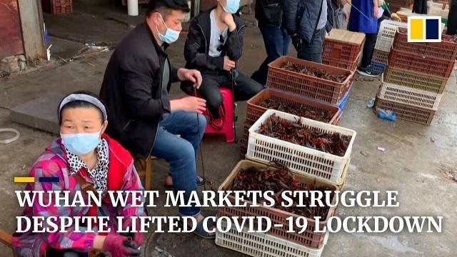 'Wet markets in Wuhan struggle to survive despite lifting of China’s lockdown to fight Covid-19'