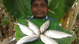 'வாழை இலை மீன் அவியல் மசாலா|Banana leaf masala fish boiling|small boy suppu|village food safari'