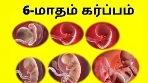 '6 month pregnancy symptoms in Tamil | 6 month baby movement in Tamil | Month 6 | 21 to  24 Week'