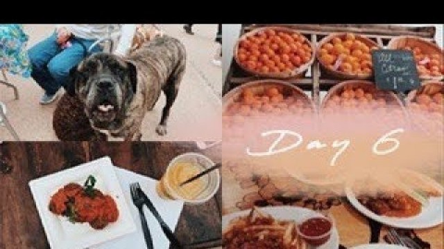 'Dog Day at the Botanical Gardens, Farmer\'s Market, and Vegan Food! | VLOG 6'