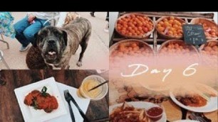 'Dog Day at the Botanical Gardens, Farmer\'s Market, and Vegan Food! | VLOG 6'