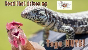 'This food drives my Tegu lizard nuts, Yummy!'