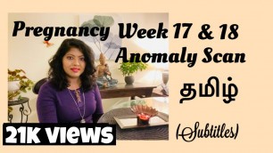 'Pregnancy week 17 (Tamil) | Week 18 Pregnancy in Tamil | Anomaly Scan (Tamil) | Anatomy Scan Tamil'