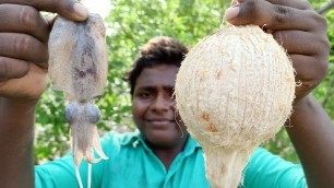 'தேங்காய்க்குள் கணவாய் மீன் தொக்கு|Coconut Stuffed Squid Fish Gravy|Village Food Safari|Smallboysuppu'