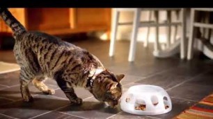 'Purina ONE Urinary Tract Health Formula Adult Cat Food'