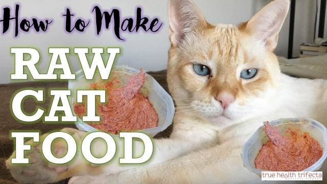 'How to Make RAW CAT FOOD (RECIPE) – Homemade Cat Food for Healthy Cats'