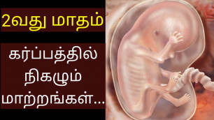 'Second month pregnancy in tamil | 2nd month pregnancy in tamil | Pregnancy baby growth in tamil |'