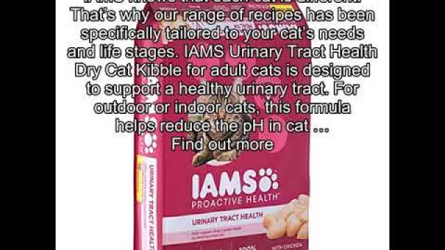 'Iams Proactive Health Adult Urinary Tract Health Dry Cat Food With Chicken, 16 Lb. Bag'