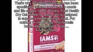 'Iams Proactive Health Adult Urinary Tract Health Dry Cat Food With Chicken, 16 Lb. Bag'