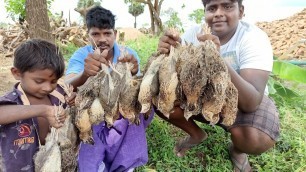 '50 காடை வேட்டை|Quail Hunting|Providing Food for Homeless people\'s|Village Food Safari'