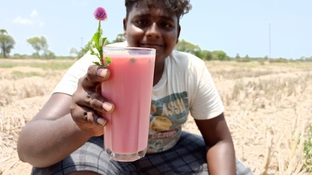 'Rose Milk Making|ரோஸ் மில்க் செய்யலாம்|Summer Special|Cool Drinks|Village Food Safari'