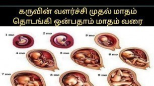 'baby growth during pregnancy 0 to 9 months/fetal growth tamil.'