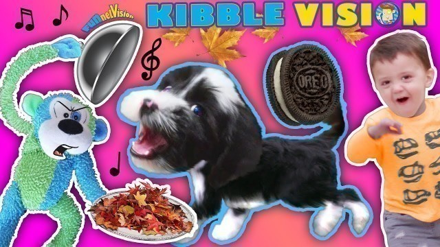 'OUR PUPPY DOG TALKING ABOUT FOOD!  FUNnel Vis OREO Songs Compilation Vlog + Climbing Wall T'