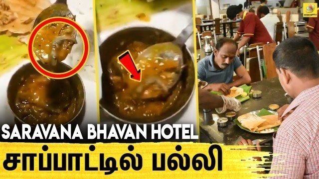 'சரவண பவன் ஹோட்டல் மீது வழக்குபதிவு | Lizard in Food | Saravana Bhavan | Delhi'