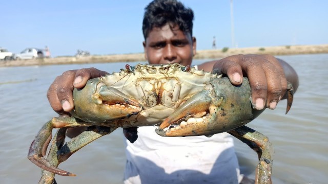 'King Of Big Size Crab Hunting and Cooking|கோடியகரையில் கட்டு நண்டு வேட்டை|Village Food Safari|Suppu'