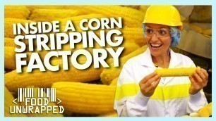 'Inside a Factory that Perfectly Strips Sweetcorn | Food Unwrapped'