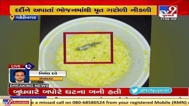 'Dead lizard found in Gandhinagar Civil hospital\'s food | Tv9GUjaratiNews'