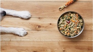 'I tested The Farmer’s Dog, a meal plan service that sends your dog fresh food for as little as $3...'