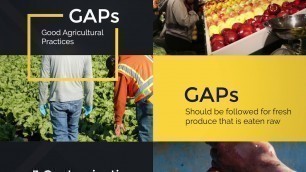 'AgSafe Food Safety Video Series   GAPs'