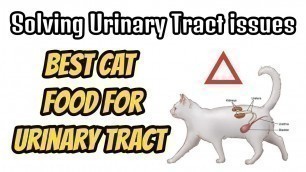 'Best Cat Food For Urinary Tract Crystals | How to solve kidney and Urinary Tract Crystals issues'