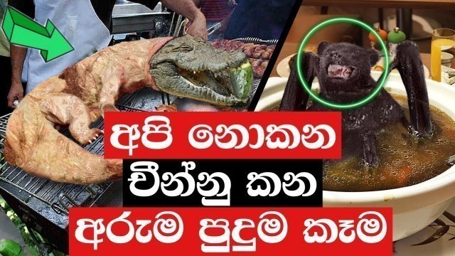 'Most Unusual Food In China | Sinhala | Wishma Lokaya | Wishwa Gaweshaka | Puduma Lowa'