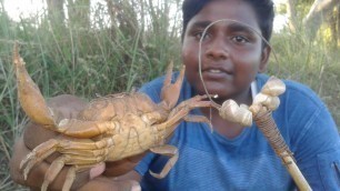 'Crab Hunting|கிலிக்கிட்டி நண்டு பிடித்தல்|நண்டு ரசம்|Small Boy Suppu|Village Food Safari|'