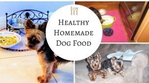 'Homemade Dog Food Recipe - Easy to Make, Healthy for Dogs'