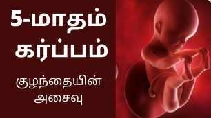 '5-month pregnancy in Tamil |5th Months Baby Developments in Tamil | கர்ப்பம் மாதம் 5 |16 to 20 Week'