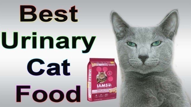 'Top 10 Best Urinary Cat Food'