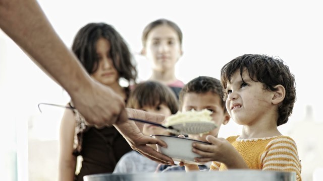 'Brazilian Food Distribution'