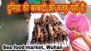 'Wuhan के इसी Seafood market  में पैदा हुआ था corona virus | VK Social'