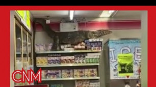 'WATCH Giant Lizard Shows up at Thai Supermarket Looking for Food, Internet Shocked'