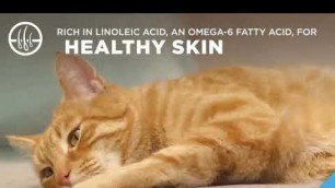 'Purina Pro Plan Focus Urinary Tract Health Adult Wet and Dry Food Reviews'