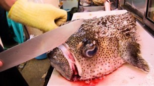 'Japanese Street Food - EXOTIC SEAFOOD FISH SASHIMI Okinawa , Japan'