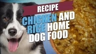 'Chicken and Rice Home Dog Food Recipe (Healthy)'