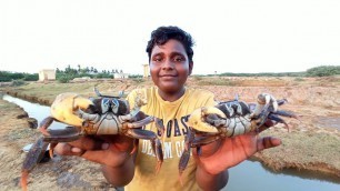 'தில்லை நண்டு வேட்டை |சேறு ஊற்றி நண்டு பிடித்தல்|Village Food Safari'