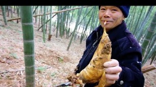 'CHINESE STREET FOOD - BAMBOO HUNTING + Village Food tour in China | EXOTIC Street Food in China'